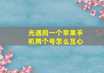 光遇同一个苹果手机两个号怎么互心