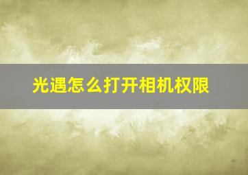 光遇怎么打开相机权限