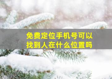 免费定位手机号可以找到人在什么位置吗