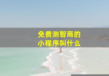 免费测智商的小程序叫什么