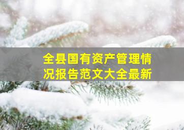 全县国有资产管理情况报告范文大全最新