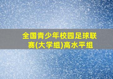 全国青少年校园足球联赛(大学组)高水平组