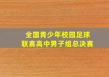 全国青少年校园足球联赛高中男子组总决赛