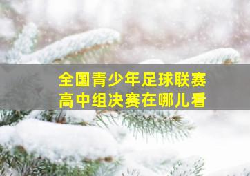 全国青少年足球联赛高中组决赛在哪儿看