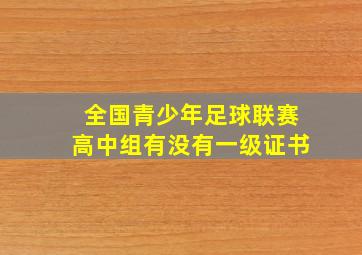 全国青少年足球联赛高中组有没有一级证书