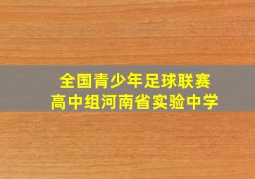 全国青少年足球联赛高中组河南省实验中学