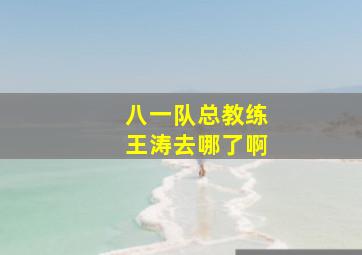 八一队总教练王涛去哪了啊