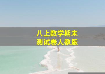 八上数学期末测试卷人教版