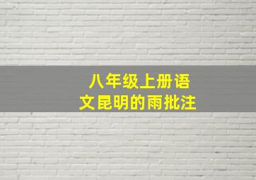 八年级上册语文昆明的雨批注