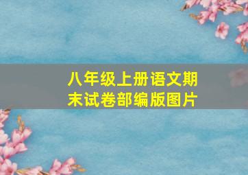 八年级上册语文期末试卷部编版图片