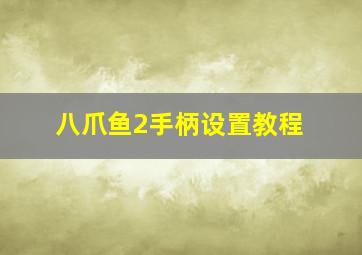 八爪鱼2手柄设置教程