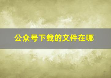 公众号下载的文件在哪