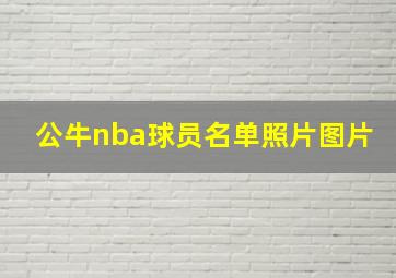 公牛nba球员名单照片图片