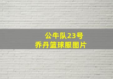 公牛队23号乔丹篮球服图片