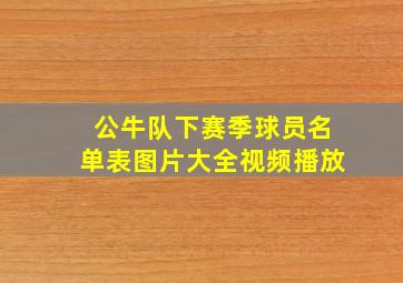 公牛队下赛季球员名单表图片大全视频播放