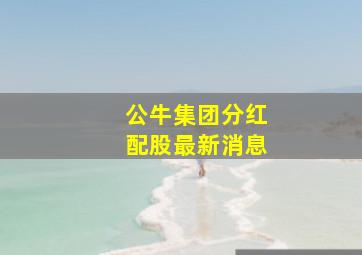 公牛集团分红配股最新消息