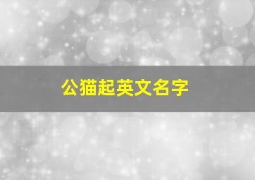 公猫起英文名字