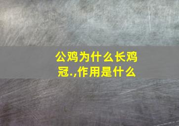 公鸡为什么长鸡冠.,作用是什么