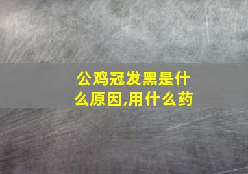 公鸡冠发黑是什么原因,用什么药