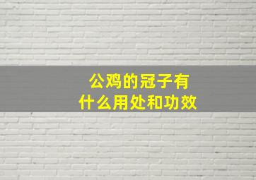 公鸡的冠子有什么用处和功效