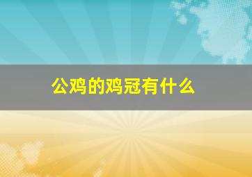 公鸡的鸡冠有什么