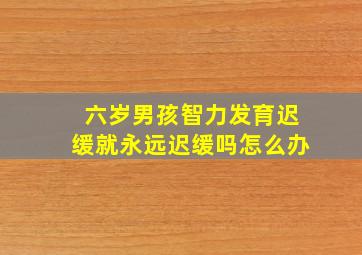 六岁男孩智力发育迟缓就永远迟缓吗怎么办