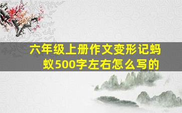 六年级上册作文变形记蚂蚁500字左右怎么写的