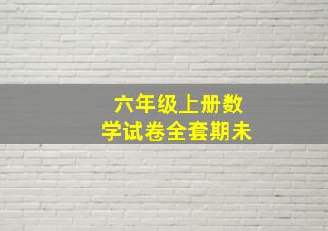 六年级上册数学试卷全套期未