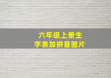 六年级上册生字表加拼音图片