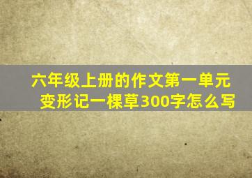 六年级上册的作文第一单元变形记一棵草300字怎么写