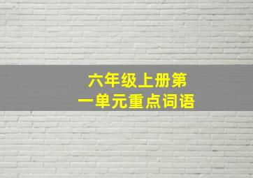 六年级上册第一单元重点词语