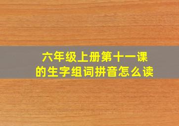 六年级上册第十一课的生字组词拼音怎么读