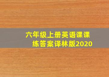 六年级上册英语课课练答案译林版2020