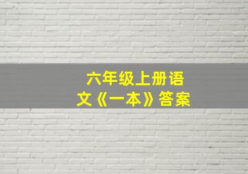 六年级上册语文《一本》答案