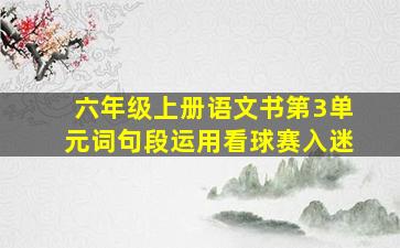 六年级上册语文书第3单元词句段运用看球赛入迷