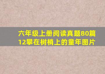 六年级上册阅读真题80篇12攀在树梢上的童年图片