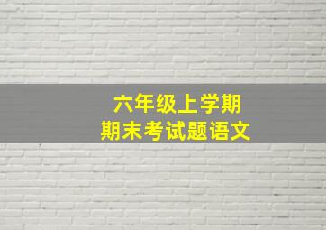 六年级上学期期末考试题语文