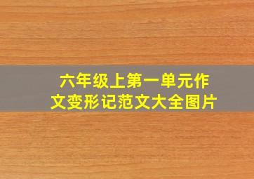 六年级上第一单元作文变形记范文大全图片