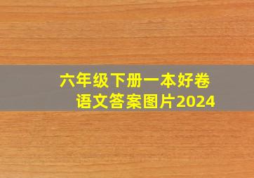 六年级下册一本好卷语文答案图片2024