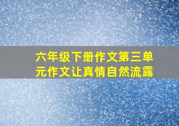 六年级下册作文第三单元作文让真情自然流露