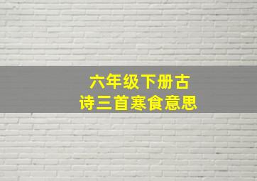 六年级下册古诗三首寒食意思