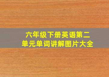 六年级下册英语第二单元单词讲解图片大全