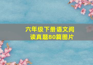 六年级下册语文阅读真题80篇图片