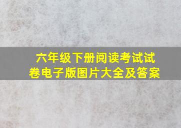 六年级下册阅读考试试卷电子版图片大全及答案