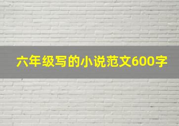 六年级写的小说范文600字