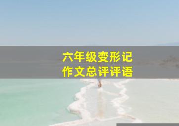 六年级变形记作文总评评语