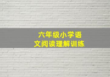 六年级小学语文阅读理解训练