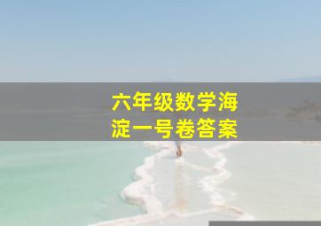 六年级数学海淀一号卷答案