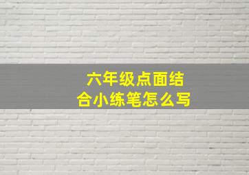 六年级点面结合小练笔怎么写