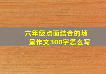 六年级点面结合的场景作文300字怎么写